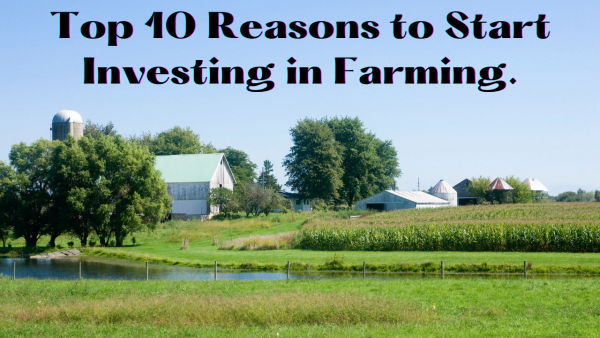 Top 10 Reasons to Start Investing in Farming Right Now. 
