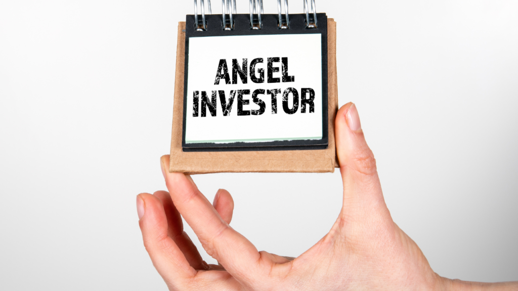Angel investors vs venture capitalists
