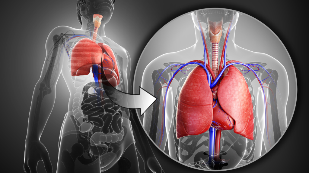 how to clean lungs after quitting smoking

