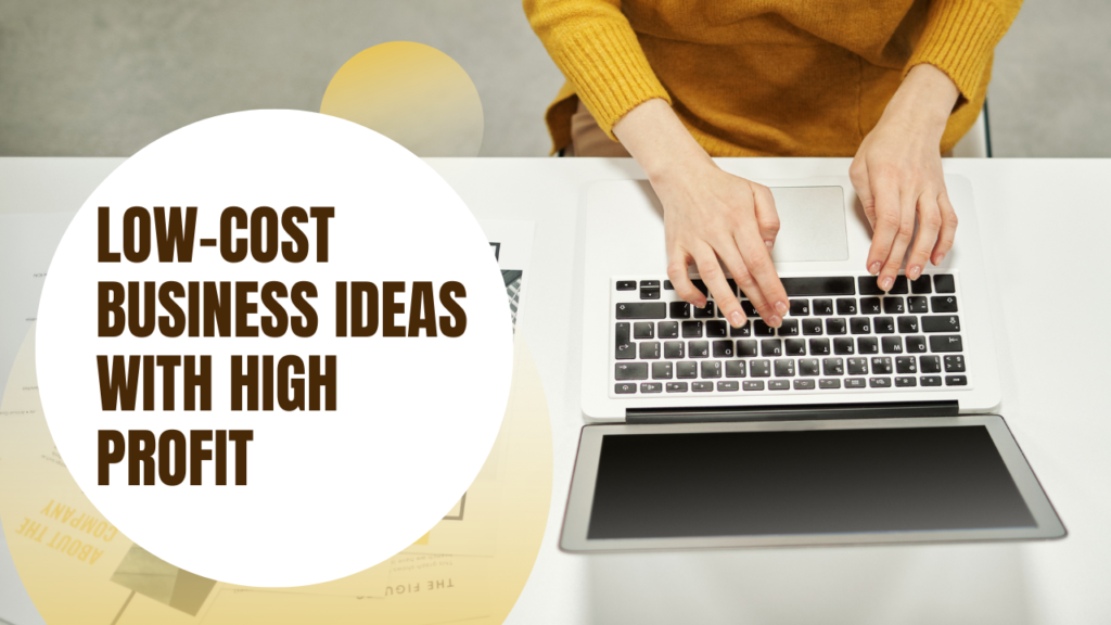 Low-cost business ideas with high profit